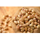 Roasted Pistachios in Shell with Sea Salt Greek Delicago 150gr