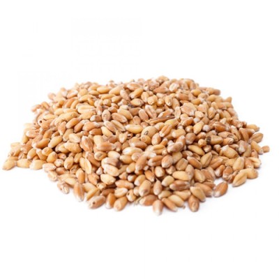 Organic Greek Durum Wheat Health Trade 25kg