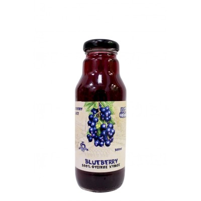 Φυσικός Οσμωτικός Χυμός Blueberry Χωρίς Ζάχαρη Health Trade 300gr