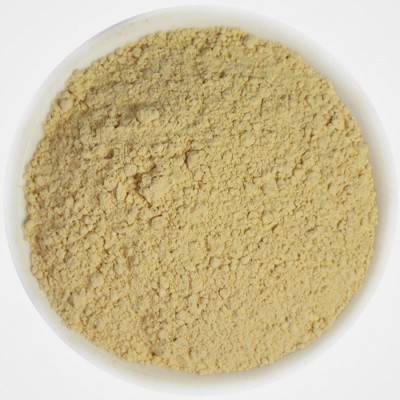 Βιολογικό Dong Quai σε Σκόνη Health Trade 20kg