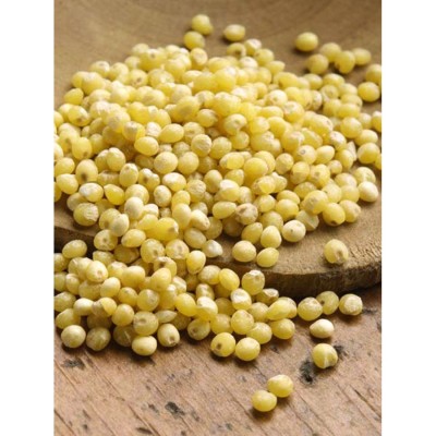 Βιολογικό Κεχρί Health Trade 25kg