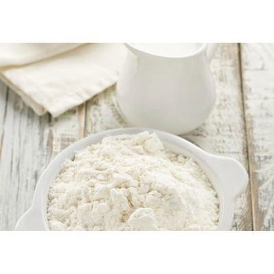 Πρωτεΐνη Γάλακτος 85% Health Trade 15kg