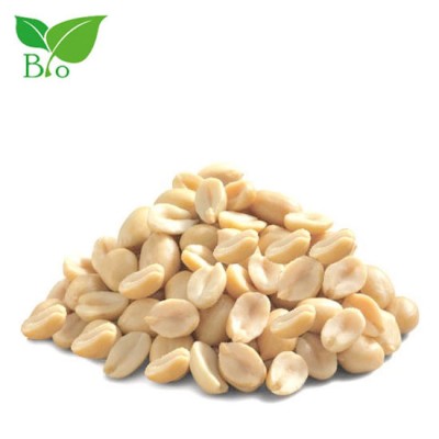 Βιολογικό Φυστίκι Αράπικο Λευκό Σπασμένο Health Trade 25kg