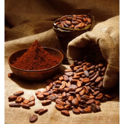 Βιολογικό Κακάο Beans Όλα Bio 15kg
